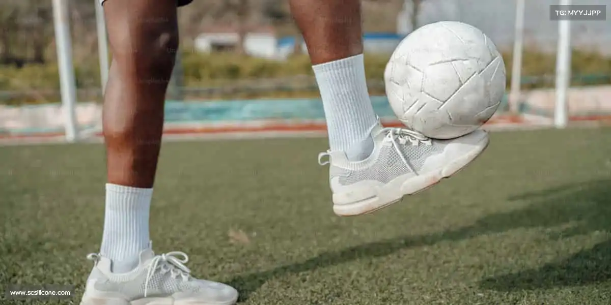 行业领先的理由